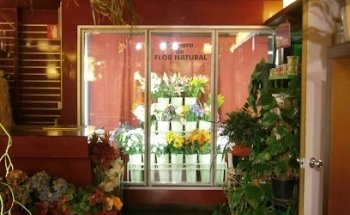Tree Florist