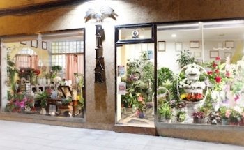 Floristeria Pilar