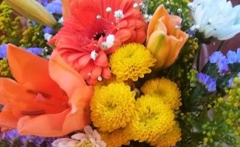 Floristeria GARMAN