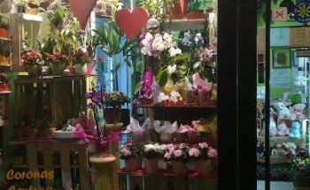 Floristería Nicoly