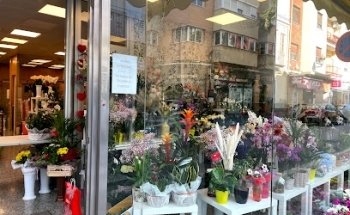 Floristería Isabel