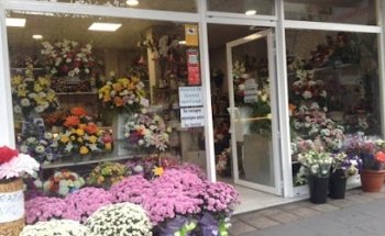 Floristería Musgo