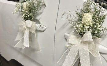 Roc Flors