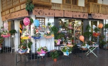 Loto floristas
