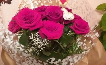 FLORES ADELA