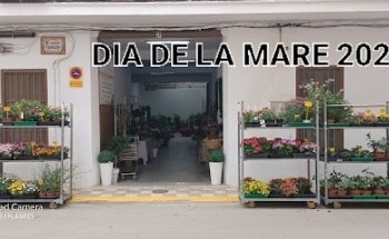 MARTORELL FLORS I PLANTES