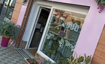 La Damajuana. (Taller de floristería)