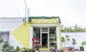 Floristería Raquel