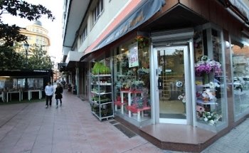 Floristería La Aurora
