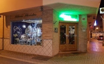 Hilario Floristas