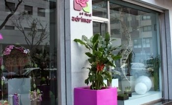 Adrimar Art Floral