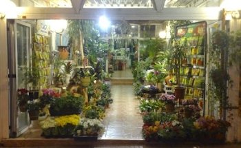 Floristeria La Orquidea