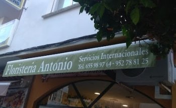 Flores Antonio