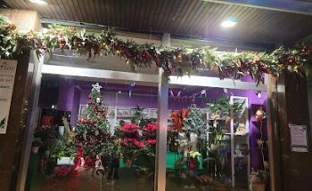 Floristeria Flores y Plantas Mariflor