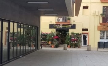 Flors Margarita