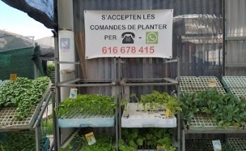 L'Hort D'en Bori