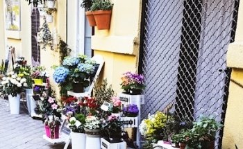 Floristería Retiro