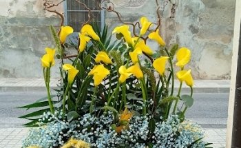 Floristeria Signia