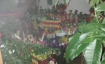 Tot Jardins