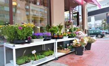 Floristería Edén
