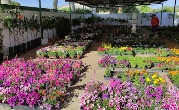 Vivero Elvira