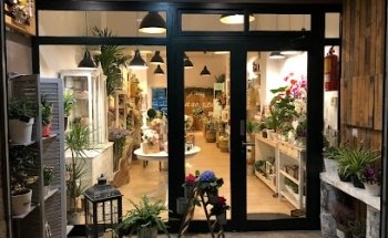 Anna Abellà Floristes