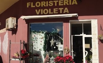 FLORISTERIA VIOLETA