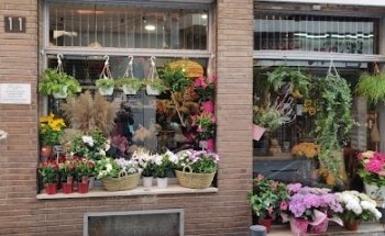 FLORS RABASSA