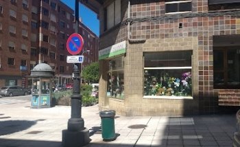 Campos Floristas