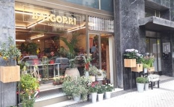 Baigorri lore-denda