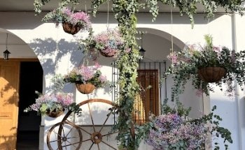 Flores Jaldo