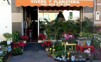 Floristería Yolanda