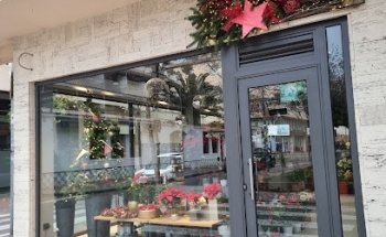 Cardona floristeria