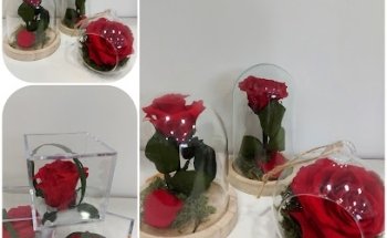 Floristería Feli