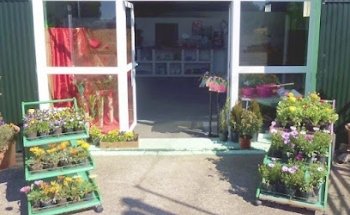 Floristería El Tejar