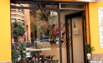 Floristeria Azahar