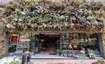 Materia Botánica