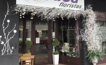 Musa Floristas