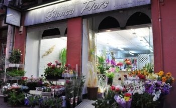 Floristería BlancaFlors
