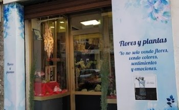 Floristería Flor de Luna de la Rosa