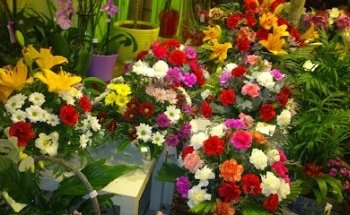 Arte Floral Bambú