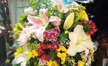 Floristería Romero