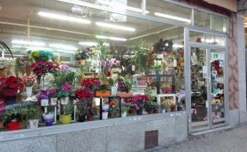 Flores Cannabis