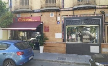 Cáñamo Arte Floral