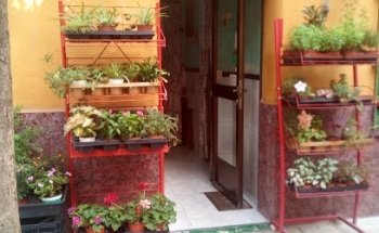 Floristería Panes