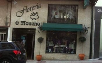 O Moucho