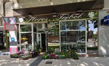 Flores Trébol