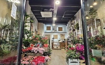 Flores Kentia | Floristería en Zaragoza