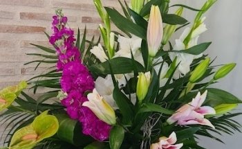 Floristería Ptal