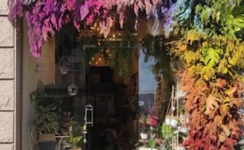 Mimí flores
